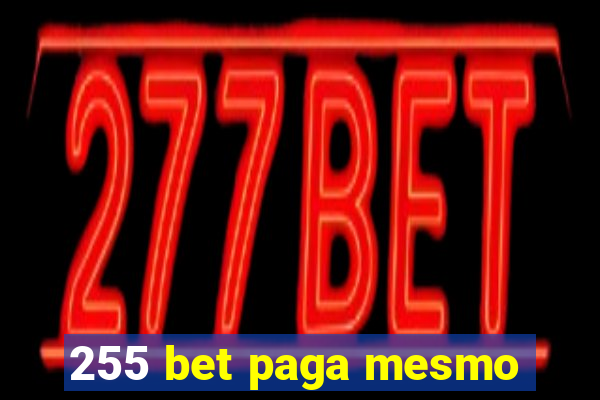 255 bet paga mesmo